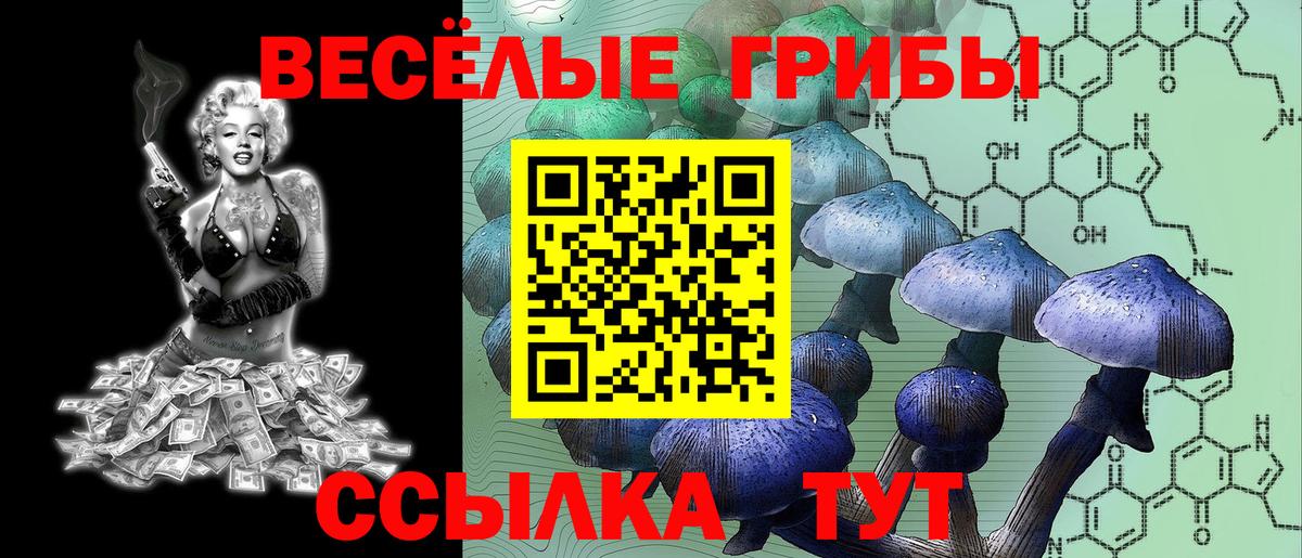 Галлюциногенные грибы прущие грибы Лениногорск